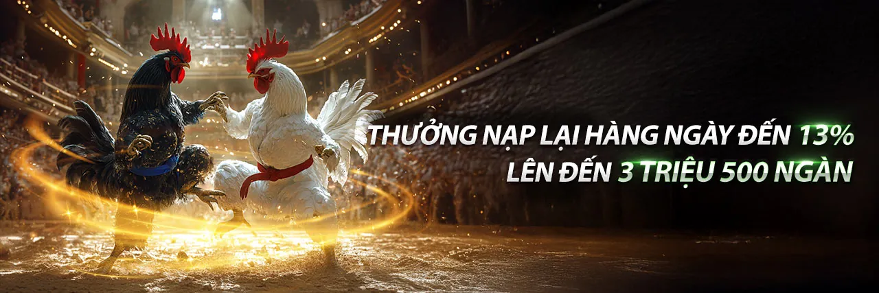 Khuyến mãi chào mừng Suncity888 Code 2026